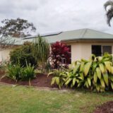 Whilst we waited for the house to be fixed after the flood, we (mostly Juergen) fixed up our garden, which had suffered from neglect and the flood water washing out all nutrients.